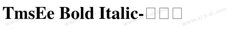 TmsEe Bold Italic字体转换